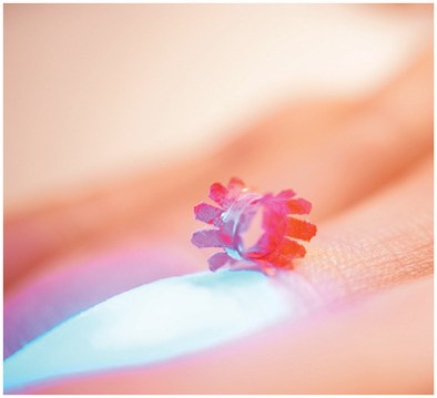 Kirigami‐Based Light‐Induced Shape‐Morphing and Locomotion