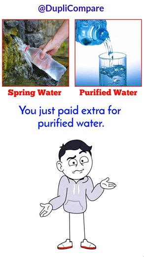 Purified Water vs Spring Water: Which One Is Actually Better? #WaterFacts