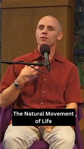 Adya describes how life can move effortlessly when we can naturally surrender to it. From “When Truth Takes Over.” Available on Adya’s Membership Plus YouTube Channel #adyashanti #opengatesangha #spiritualawakening | Adyashanti