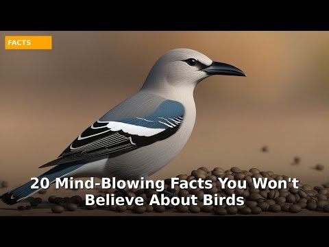 20 Mind-Blowing Facts You Won't Believe About Birds 🐦