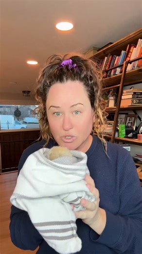 Rabbit Pals on Instagram: "Baby bunnies turning in circles is never a good sign. It usually means one of a few things is wrong. There could be a parasite. There could be something wrong with the ear canal or inner ear. It could be an ear infection. It could also mean the bunny has not developed as quickly as it should yet. Sometimes it is a structural issue with the inner ear."