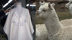 Peruvian alpaca fiber in demand in China's luxury markets