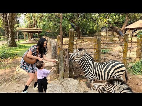 A Visit To Yangon Zoo (Myanmar)