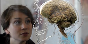 Opinion | Mind What Neuroscientists Can Tell Us About the Brain