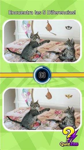 Nível IMPOSSÍVEL: Encontre 5 diferenças nestes gatinhos #quizzes #DesafioVisual #Enigmas #gatinhos