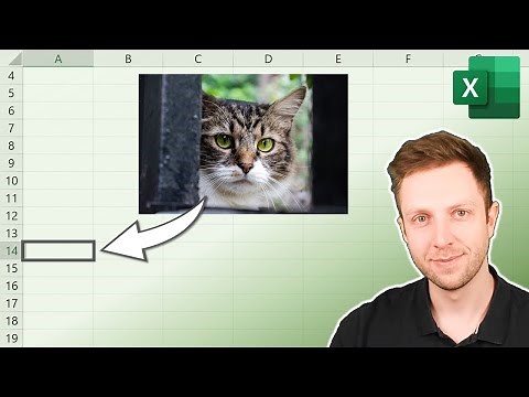 BILDER direkt IN Excel ZELLEN einfügen (zwei Methoden)