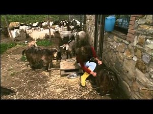 GEO & GEO Le Capre Cashmere nel Chianti al servizio del territorio