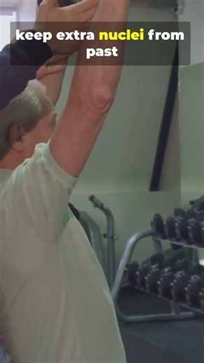 Muscle Memory Explained 🧠💪