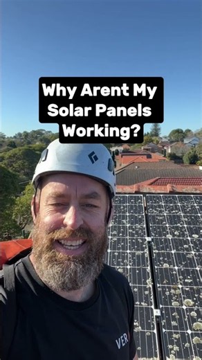 Dirty Solar Panels? Lichen Could Be Costing You Money