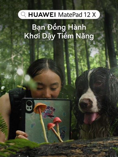 Máy Tính Bảng HUAWEI MatePad 12 X Cho Mọi Nhu Cầu