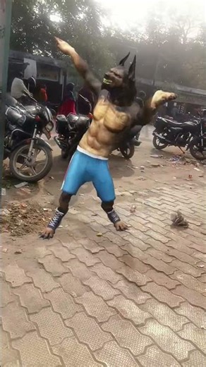 #wolffacts | grey wolf | facts abbout wolves | animal facts for kids | maned wolf facts for schools