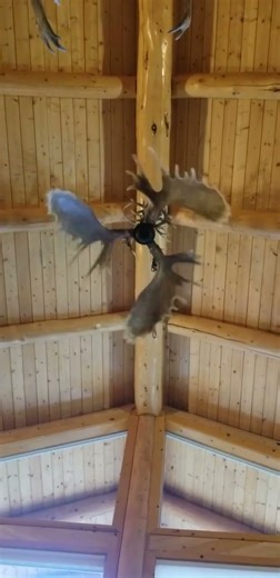 Custom Ceiling Fan with antlers