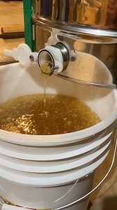North Chagrin Nature Center's honey bee hive thrived this year! The colony made more than enough honey for the winter. The extra honey was extracted from the hive frames. This video is a small snippet from the extraction process. Using centrifugal force, the honey is pulled from the frames and slowly spills out of the extractor into a honey bucket. A strainer covering the bucket, separates the honey from small pieces of comb. -NS, Naturalist | Cleveland Metroparks