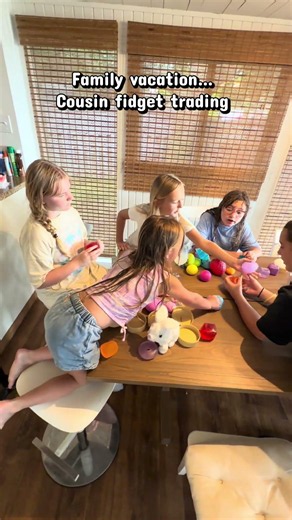 Cousin fidget toy trading!! #fidgettoysplus #viral #dumplings #needoh #needohs #fidgettrading