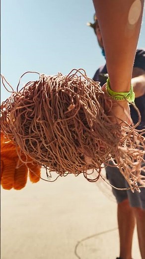 Caught in the Crossfire: The Truth About Gill Nets