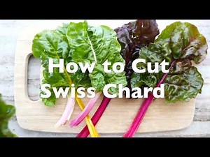 How to Cut Swiss Chard