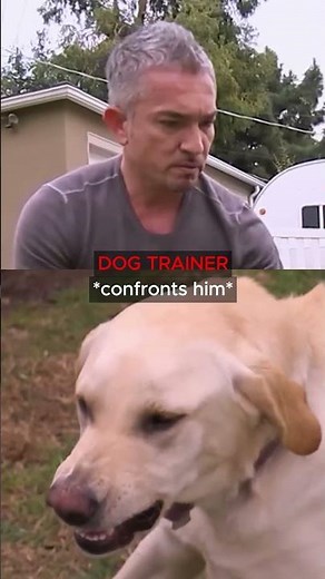 Famous Dog Trainer Didn't See That Coming