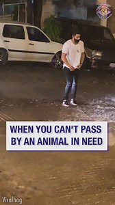 Man rescues petrified possum from storm | 5-Minute MAGIC