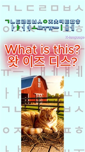 이것은 무엇입니까? #K-language