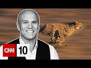 The Fastest Animal In The World | October 15, 2024
