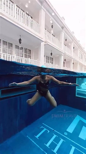 2.7K reactions · 204 shares | Different dive techniques, explained!  Follow us for more original content and tips and SWIM to enjoy your next TRAVEL with Swimtravel Philippines  #swimtravel #swimming #swimcoach #learntoswim #skindiving #swimmingpool #openwater #weekendvibes #swimminglesson #swimmingph #philippines #reels #lifevestfree #swimminggoals #learntoswim #learntoswimph #adultswimminglesson #travelgoals | Swimtravel Philippines | Facebook