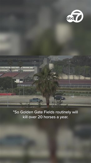 Golden Gate Fields is set to hold its final races this weekend before it closes for good. While the track has a long history in the Bay Area dating back to 1941, animal activists say its history is covered in controversy. https://abc7ne.ws/3Kx7DdQ | ABC7 News