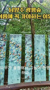 남양주 광릉숲길#광릉숲 #광릉수목원 #남양주가볼만한곳 #남양주여행 #데이트코스