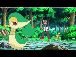Ash Atrapa A Snivy