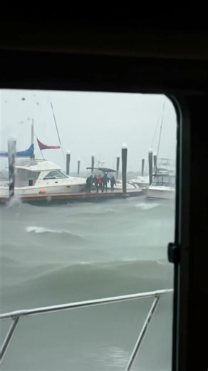 What happens when a hurricane hits a marina? #boats