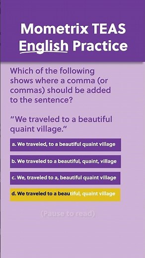 English Practice Question with Lydia! | TEAS 7 Prep