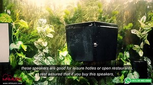 Buy Musical Instruments from our online store. We deliver to Kenya, Tanzania, Uganda, and all East Africa Region. Send us WhatsApp on 97150 482 4366 or call us on the same number for more information. | M4musicdubai