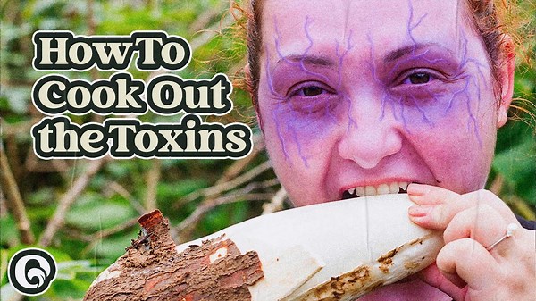 Your Guide to Eating this Toxic Root