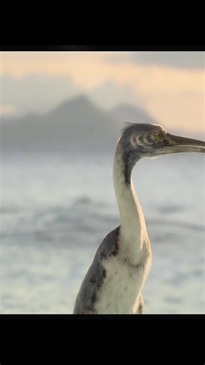 Discover Fascinating Dinosaurs: A Glimpse into Prehistoric Life