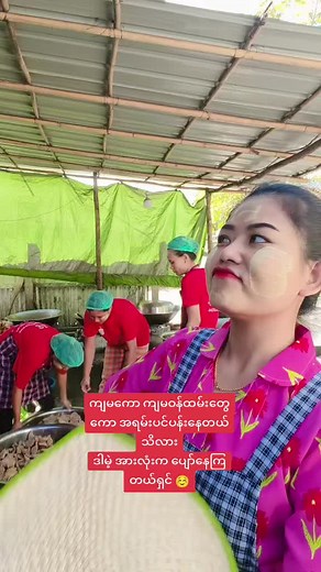 Myint Zu Kyaw သည် TikTok ပေါ်တွင် ရှိသည်