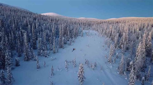 He spent 3 days alone in a wilderness cabin - then the car wouldn’t start