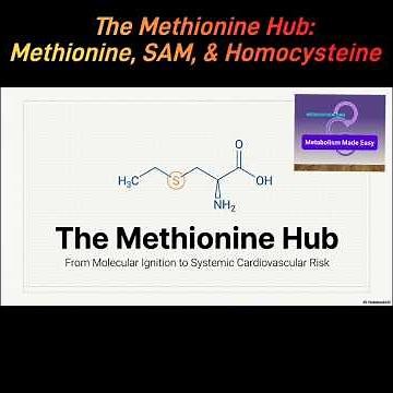 The Methionine Hub: Methionine, SAM, & Homocysteine @Metabolism Made Easy