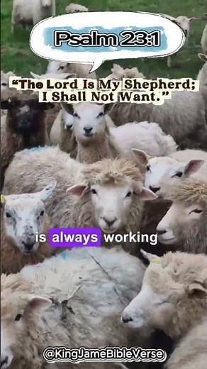 Psalm 23:1 Will Change Your Life Today 🙏 (God Will Provide!)
