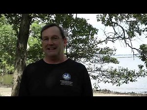 Ask an Expert: What Is a Fish Kill?