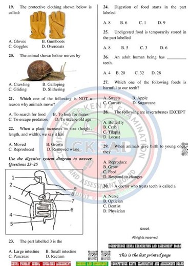 Grade 4 Science and Technology Mid Term 1 2026 Exam