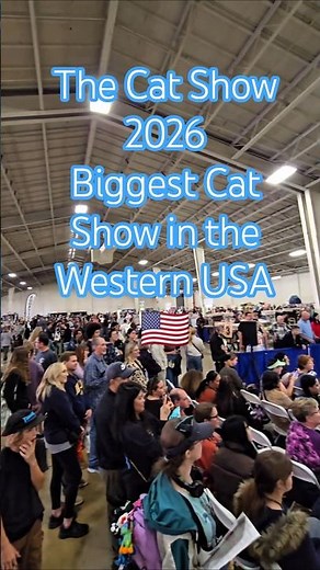 The Cat Show 2026 Biggest Cat Show in the Western United States of America 🇺🇸