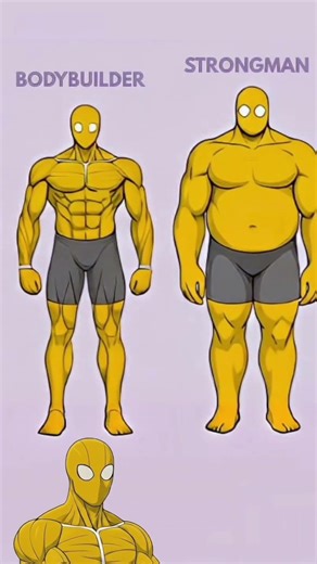 What's Your Physique Level ?