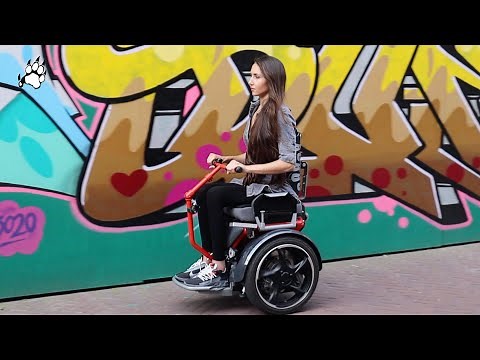 Felina Tiger - #52 - DRIVING A [SEGWAY WHEELCHAIR] FREEE F2