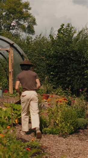 🌿🧑🏽‍🌾MY TOP 5 MIRACLE HEALING PLANTS YOU SHOULD KNOW & GROW IN 2025🚨🌿🌼🌺 more details below - 1. Calendula 🌼 – This beautiful golden flower isn’t just for skin, it’s a natural antiseptic that speeds up wound healing, soothes eczema, and even supports gut health! Plus, did you know it’s often called “poor man’s saffron”? The petals used in cooking add a golden hue to rice and soups, without the price of expensive saffron! 2. Yarrow 🌿– my favourite herb, this ancient herb is a first-aid k