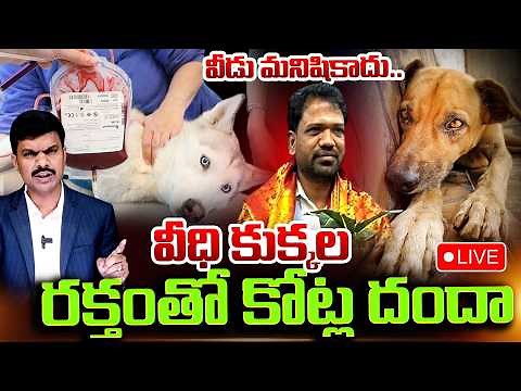 🔴LIVE:మీరేం మనుషులురా..వీధి కుక్కల రక్తంతో దందా | Hyderabad: Dogs Blood Scam Exposed | SumanTV Vijay