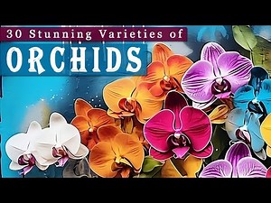 30 Stunning Varieties of Orchids | Largest & Oldest family of Flowers | Colourful & Fragrant Blooms