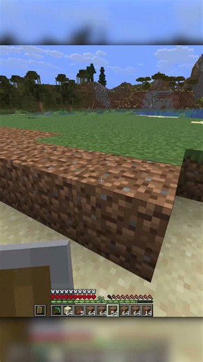 Saving turtles in minecraft hardcore...
