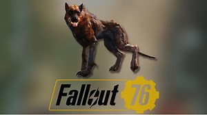 Best wolf spawn locations in Fallout 76
