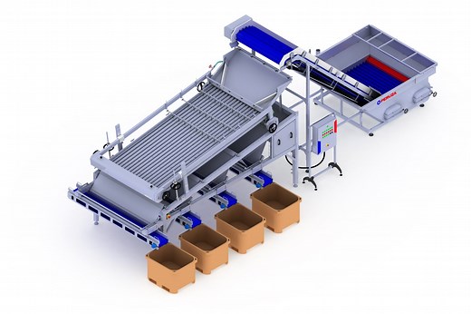 Roller grading line for pelagic fish - PERUZA