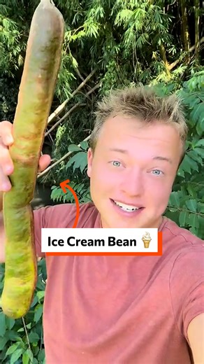 52K views · 115 reactions | Ice cream beam  | Twisted | Facebook