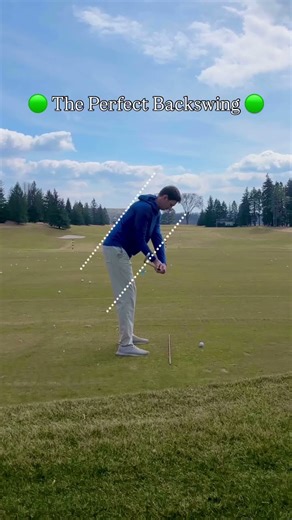 The Perfect Backswing...